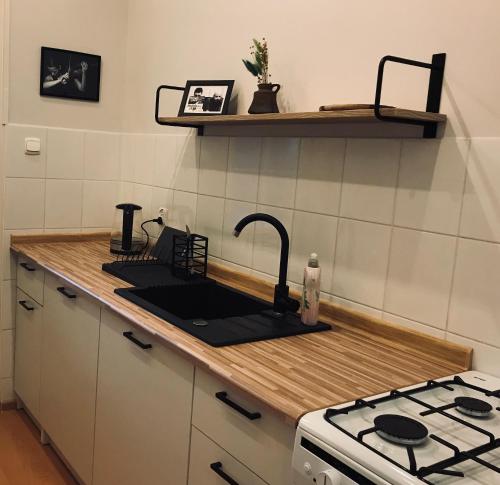 Il comprend une cuisine équipée d'un évier et d'une cuisinière. dans l'établissement Jazz Apartment in the centre of heart in Szczecin, à Szczecin