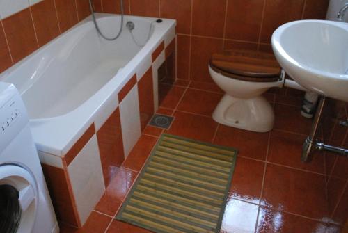 Apartment Slavica tesisinde bir banyo