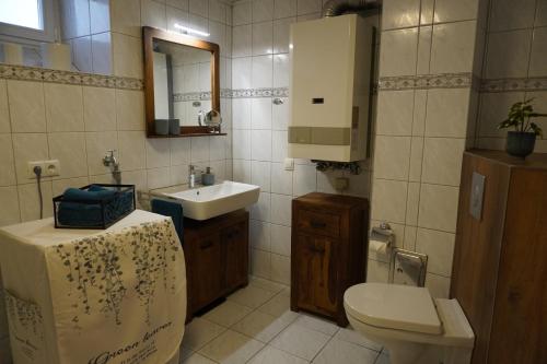a bathroom with a sink and a toilet and a mirror at Hedwigs Hexenhäuschen in Kruft