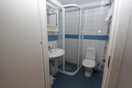 a bathroom with a toilet and a sink at Nattvikens Vandrarhem in Härnösand