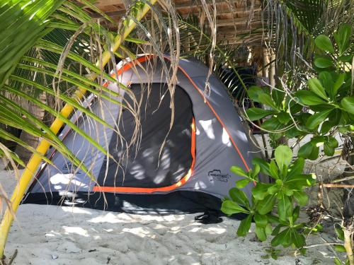 a tent on the ground under a tree at Chavez Eco Beach Camping and Cabañas in Tulum