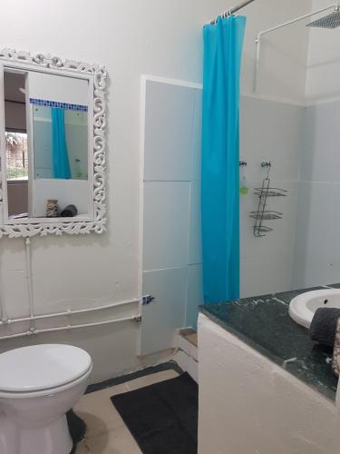 a bathroom with a toilet and a mirror and a sink at Ocean Rush Dolphin in Zinkwazi Beach