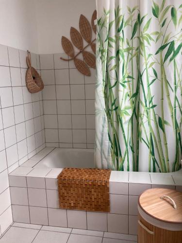 La salle de bains est pourvue d'un rideau de douche et d'une baignoire. dans l'établissement TANGO appartement de charme calme 75m2 6 personnes, à Mulhouse