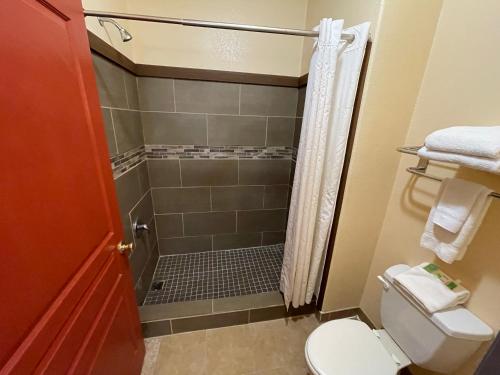 a bathroom with a shower and a toilet at Sunbridge Inn & Suite Extended Stay in Jourdanton
