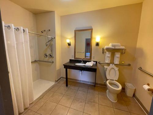 a bathroom with a toilet and a shower and a sink at Sunbridge Inn & Suite Extended Stay in Jourdanton