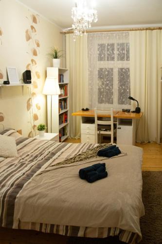 Ένα ή περισσότερα κρεβάτια σε δωμάτιο στο Apartament Wyspa Piasek