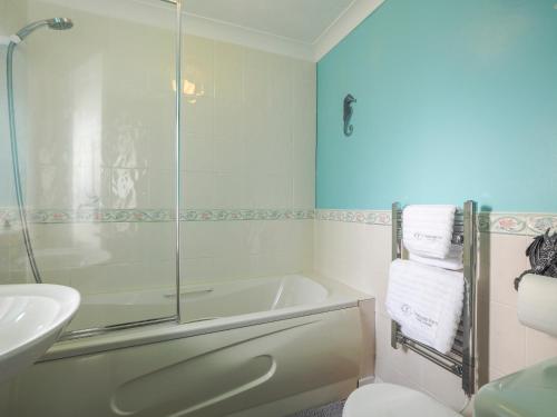 Koupelna v ubytování Trenewydd Farm Holiday Cottages