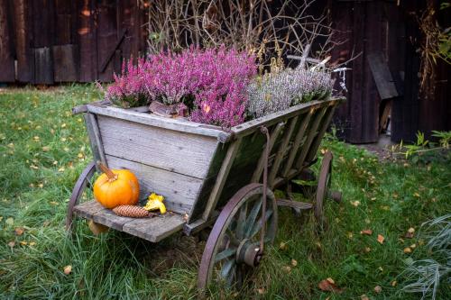a wooden cart with a planter with a pumpkin and flowers at ENJOY Cozy Romance Hills Forest Gardens Views Sauna Whirlpool Bath in Jablonné v Podještědí