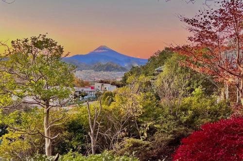 a mountain in the distance with trees in the foreground at Hosu in Izunokuni