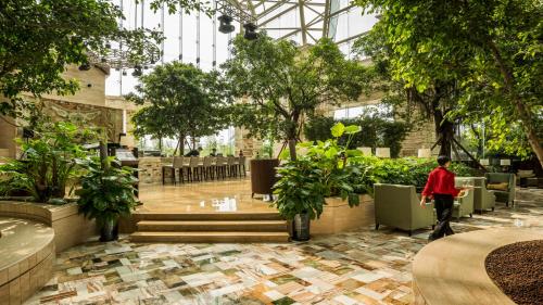 Κήπος έξω από το InterContinental Chengdu Global Center by IHG