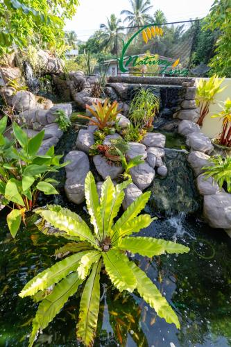 a garden with a pond with plants and rocks at Nature Line Resort in Khanom