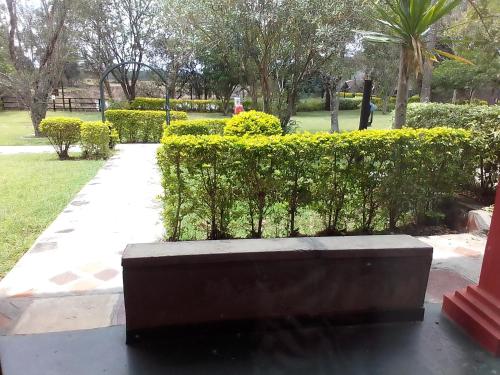 a bench in a park next to a hedge at Mara River Lodge in Aitong