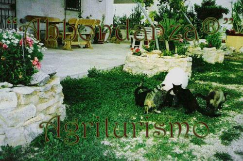 Quelques chiens mangeant de l'herbe dans une cour dans l'établissement Room in BB - Abbondanza The Farm House, à Alberobello