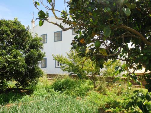Casas do Pomar