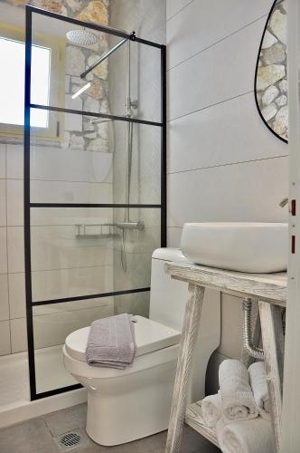 a bathroom with a shower and a toilet and a sink at Stone Villa Kefaloniaprivatevillas in Trapezaki