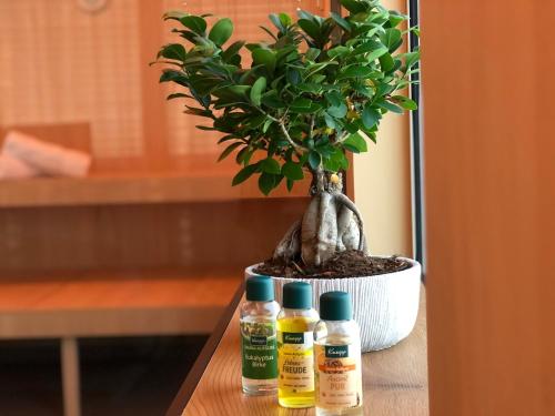 a potted tree sitting next to three bottles of oil at Bergzeit Gosau in Gosau