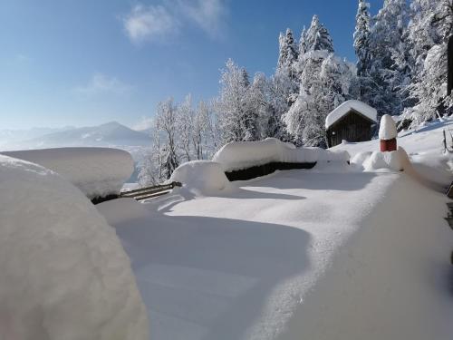 a path covered in snow next to a cabin at Ferienhaus Troy in Doren