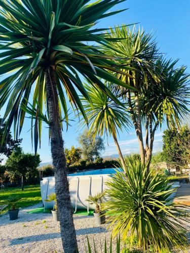 two palm trees in front of a pool at Apartment QUINTA DE AREIAS in Crespos