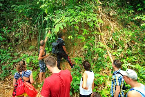 a group of people walking in the jungle at Khao Sok River Lodge Hotel in Khao Sok