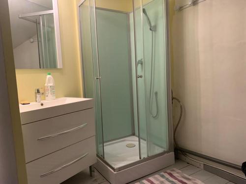 a bathroom with a glass shower and a sink at SUPERBE TRIPLEX MEUBLÉ TOUT CONFORT HYPER CENTRE ST CÉRÉ 3 CHAMBRES WIFI 120 M2 8 pers max in Saint-Céré
