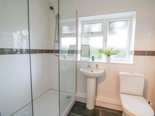 Koupelna v ubytování Ger Yr Afon Cottage