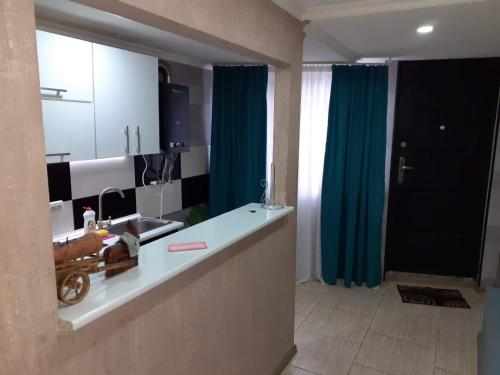 uma casa de banho com um lavatório e uma cortina de chuveiro azul em Bella Apartment em Tbilisi