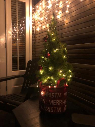 a christmas tree in a pot on a table with lights at Beach House For You - Luxe verblijf, 5 min van het strand in Katwijk aan Zee
