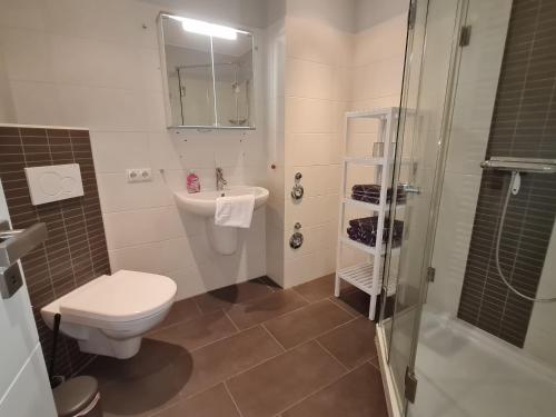 een badkamer met een toilet, een wastafel en een douche bij Wohnung Fleethörn - zentral, ruhig, mit Parkplatz und Balkon in Kiel