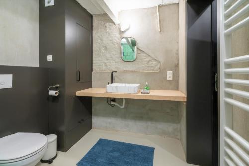 a bathroom with a toilet and a sink at Antwerps Central Residence in Antwerp