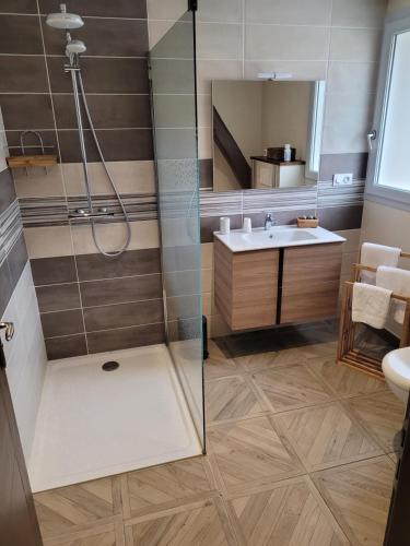 a bathroom with a shower and a sink at Les chambres de la Cotinière - Bord de Saône - St Jean de Losne in Saint-Jean-de-Losne