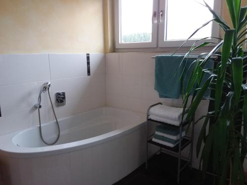 ein Badezimmer mit einer Badewanne und einer Pflanze in der Unterkunft Ferienwohnung Dachs in Zachenberg