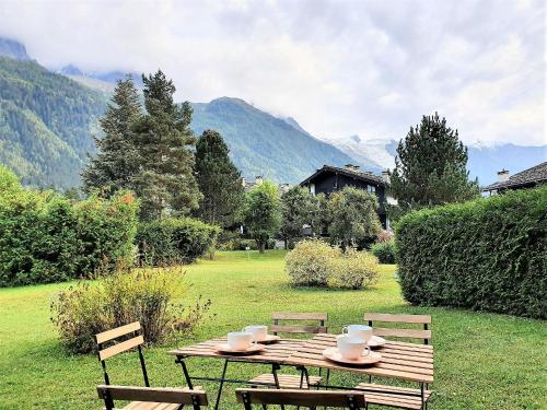 Chamonix Appartement Vue Mont Blanc avec Jardin