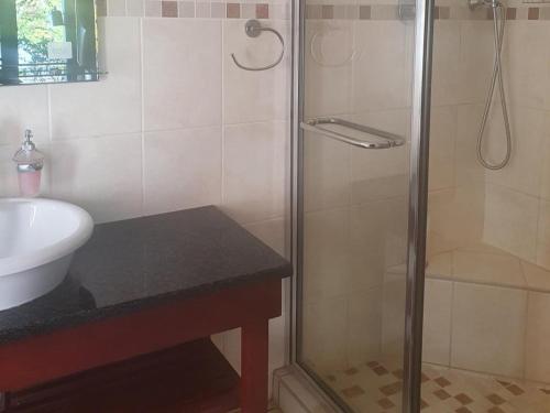 ein Bad mit einer Dusche und einem Waschbecken in der Unterkunft Mzingeli Guesthouse in Richards Bay