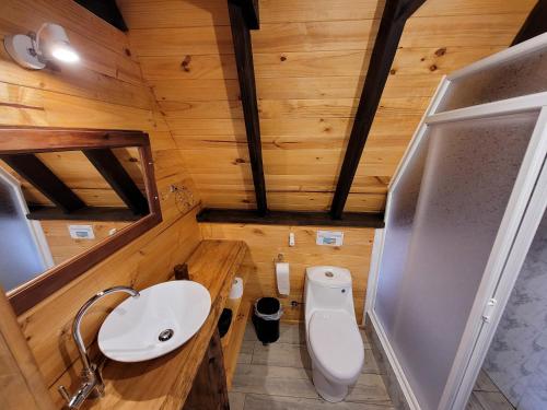 Ein Badezimmer in der Unterkunft Cabaña Alpina para 2 en Puerto Varas