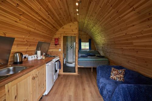Cabaña de madera con cocina y sala de estar. en Woodpecker Pod with views, en Lampeter