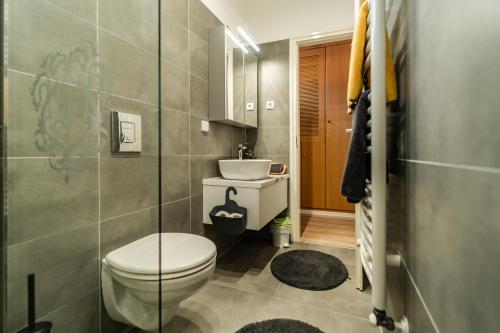 a bathroom with a toilet and a sink at Villa Viola Spa&Garden in Gyula