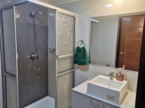 La salle de bains est pourvue d'un lavabo et d'une douche. dans l'établissement Nido 906, à La Paz