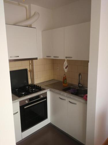 La cuisine est équipée de placards blancs, d'une cuisinière et d'un évier. dans l'établissement Iver apartman, à Sesvete