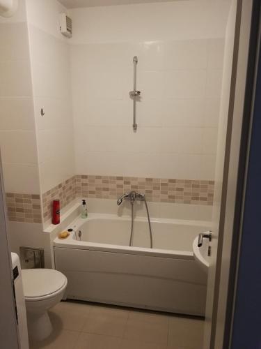 a bathroom with a bath tub and a toilet at Iver apartman in Sesvete