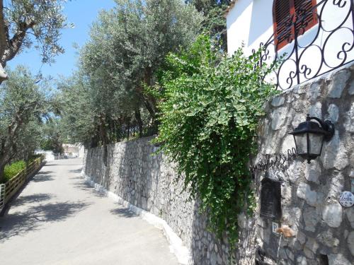 Gambar di galeri bagi Villino La Piccolissima di Massa Lubrense