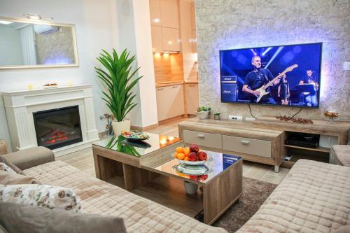 a living room with a fireplace and a tv at Lux Apartment AS in Žabljak