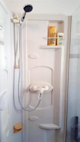 - une douche dans un réfrigérateur blanc avec un pommeau de douche dans l'établissement Apakabar Homestay, Gîte 6 personnes, proche gare Melun, parking privé, à La Rochette