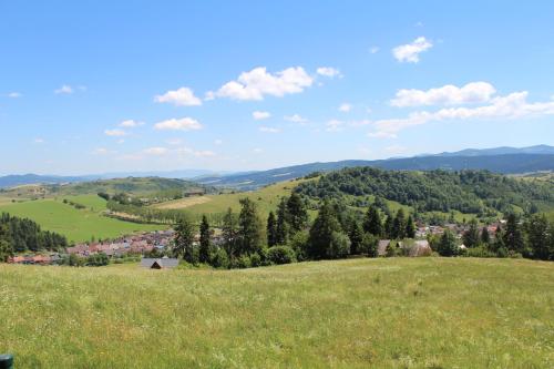 a green hillside with a town in the distance at Pine Wood Apartment in Vyšné Ružbachy