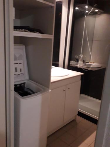 une cuisine avec un évier et un micro-ondes dans l'établissement LES JARDINS DE RAMEL, à Luchon