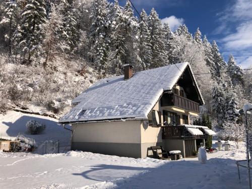 a house with a snow covered roof in the snow at SavaDolinka House in Mojstrana