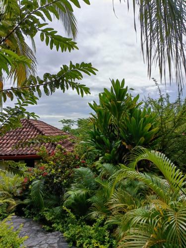 a garden in front of a house with plants at Finca Los Caballos Montezuma in Montezuma