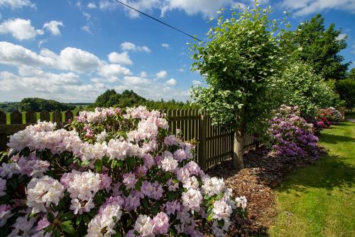 a fence with pink flowers next to a tree at Home Farm B&B - Sunflower Room in Forfar