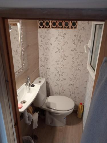 a small bathroom with a toilet and a sink at Miguel y Rosa 2 in Tíjola