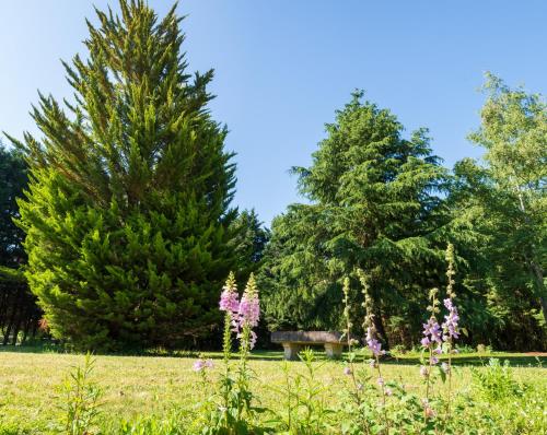 a park with trees and a bench in a field at Les Gîtes d'Halatte in Fleurines
