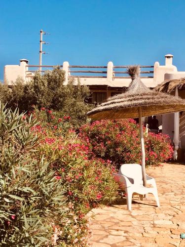 a chair and an umbrella in front of a house at Dar Alya Essaouira Maison et table d'hôtes in Ghazoua